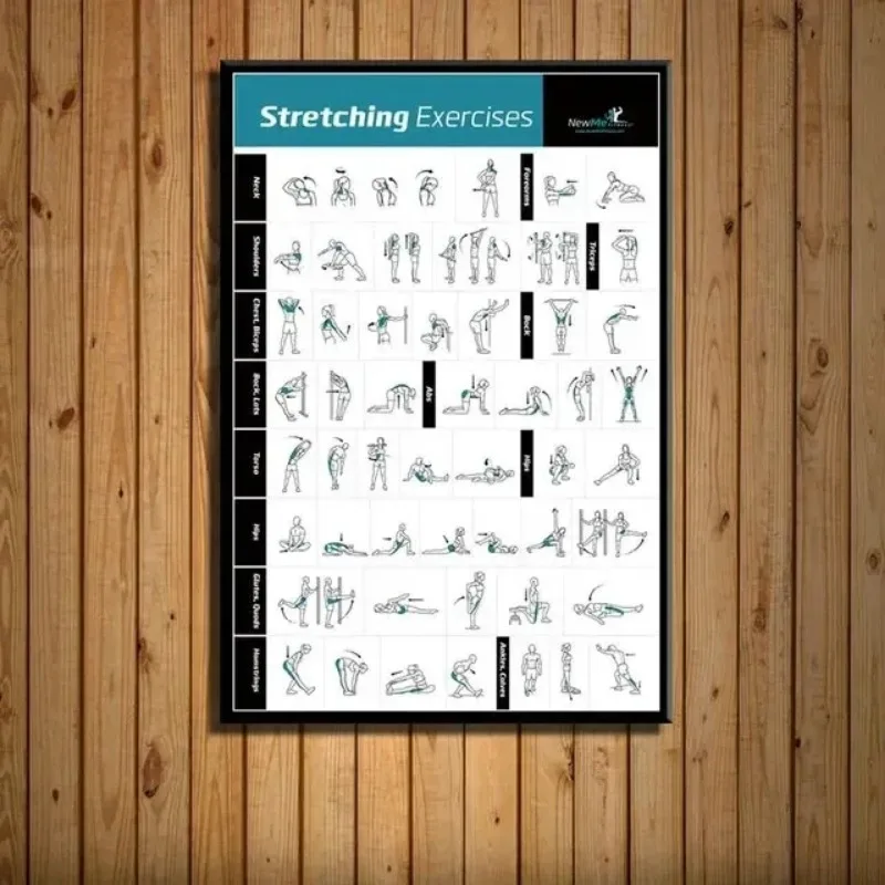 Body Exercise Training Chart G - Home Gym Minimalist ulasan dan harga