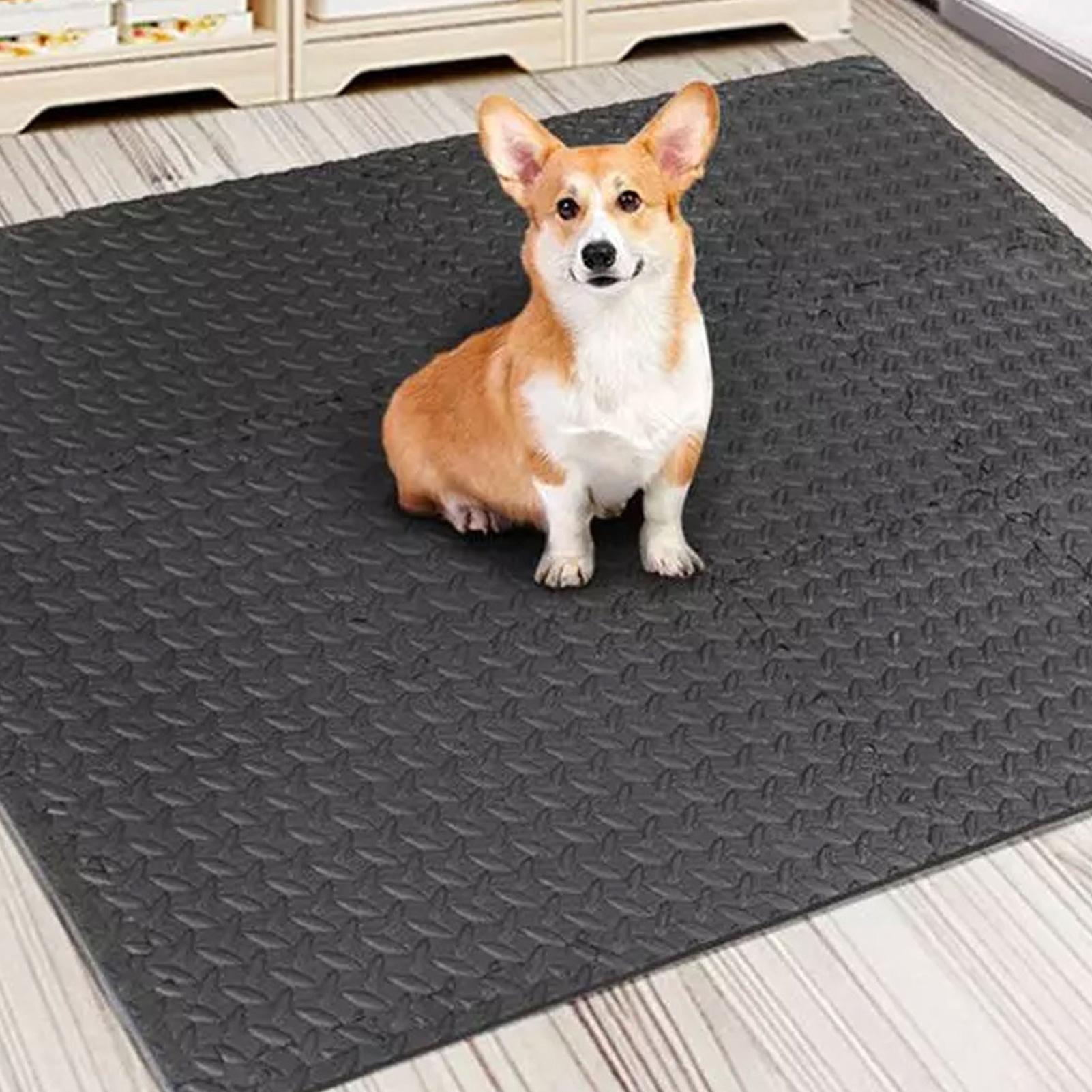 Gym Tiles 12 Pieces Interlocki - Home Gym For Toddlers ulasan dan harga