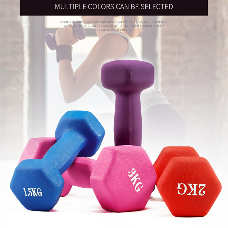 Women Dumbbell Hexagonal Dumbb - Hex Dumbbell Set ulasan dan harga