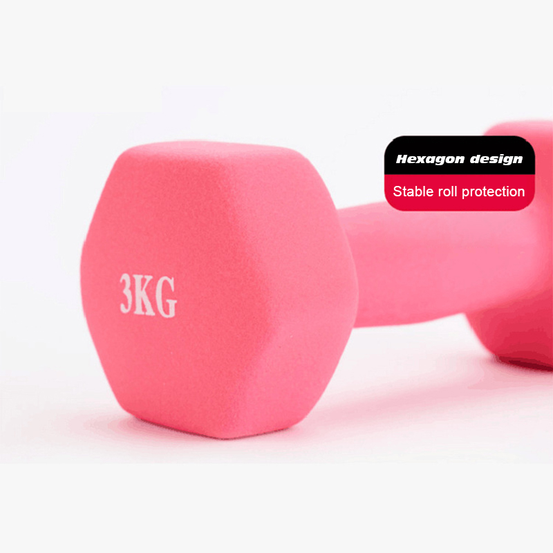 Women Dumbbell Hexagonal Dumbb - Hex Dumbbell Set ulasan dan harga